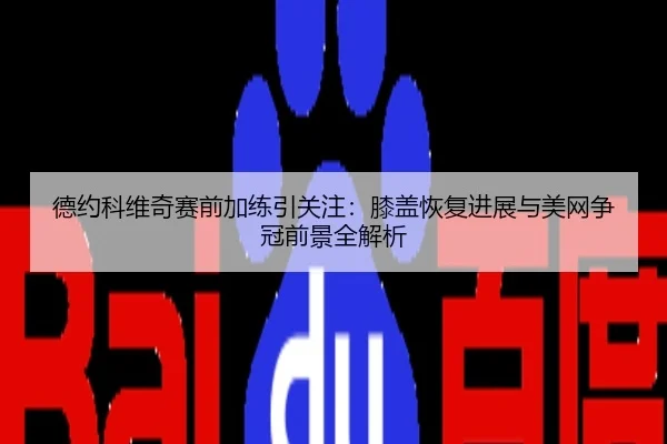 德约科维奇赛前加练引关注：膝盖恢复进展与美网争冠前景全解析